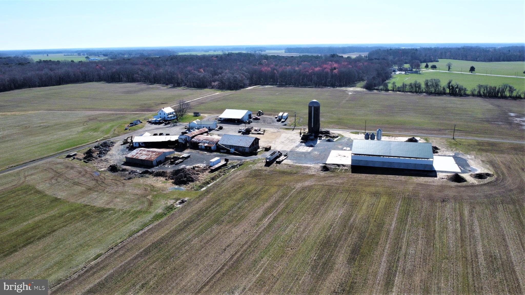 NONE AVAILABLE - Farm