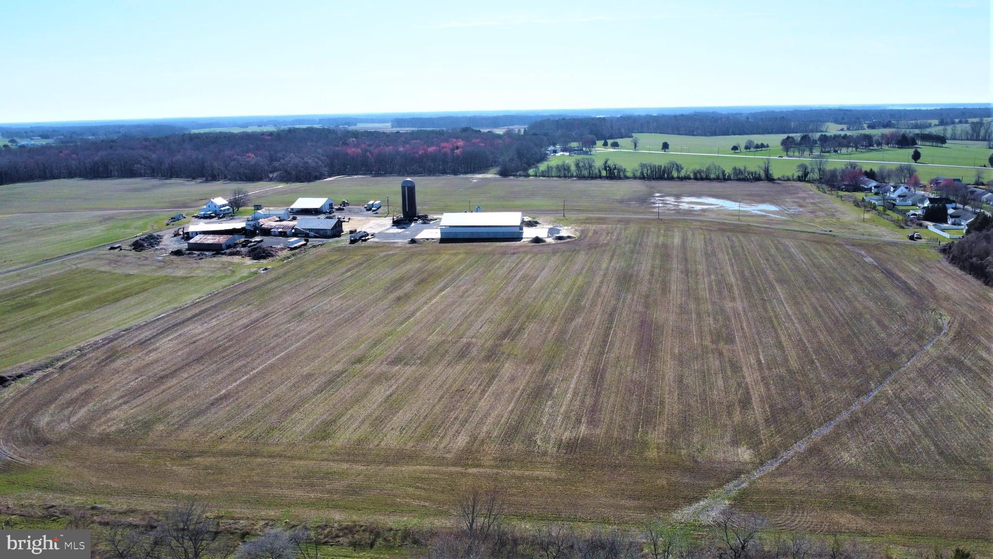 NONE AVAILABLE - Farm