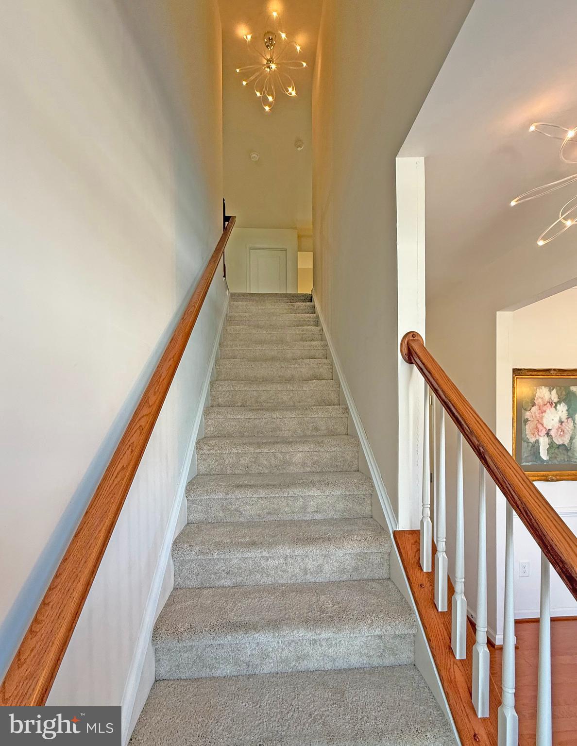 SHOREVIEW WOODS - Residential