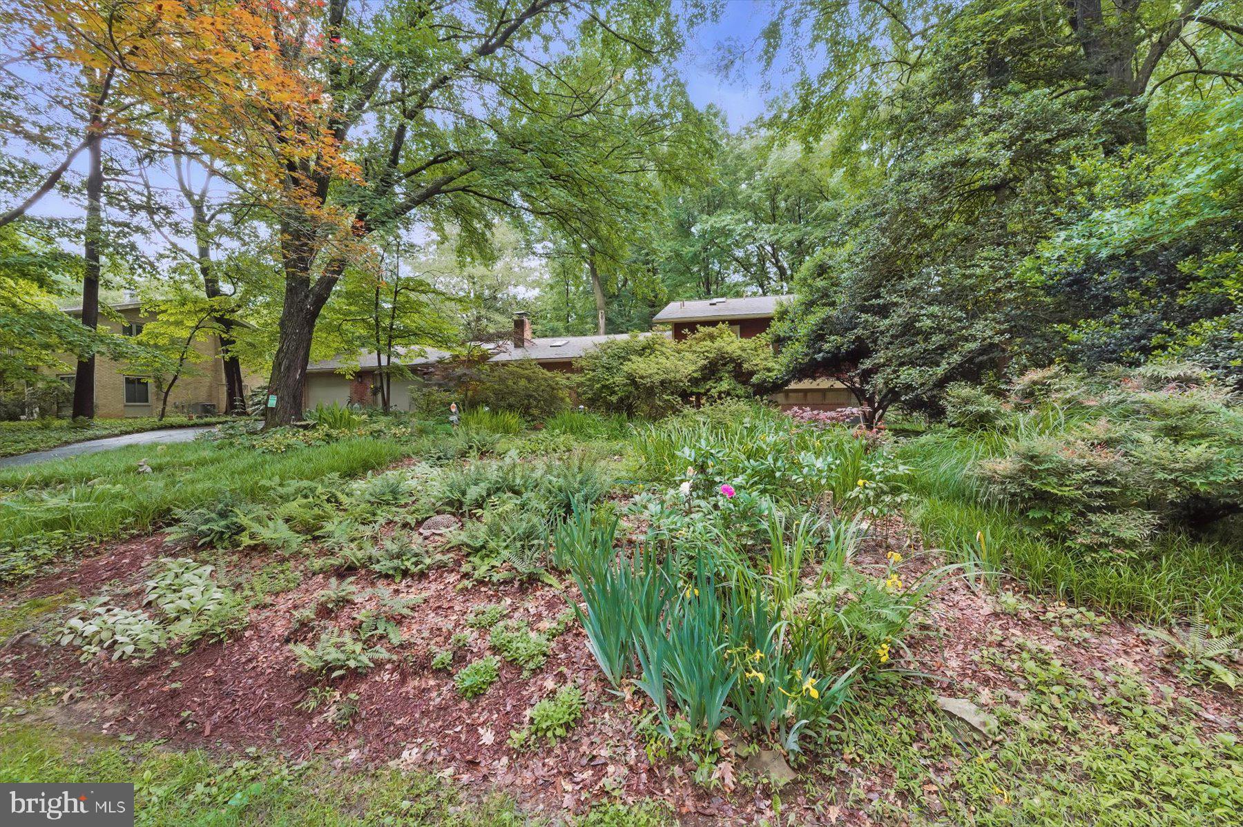 CARDEROCK SPRINGS - Residential