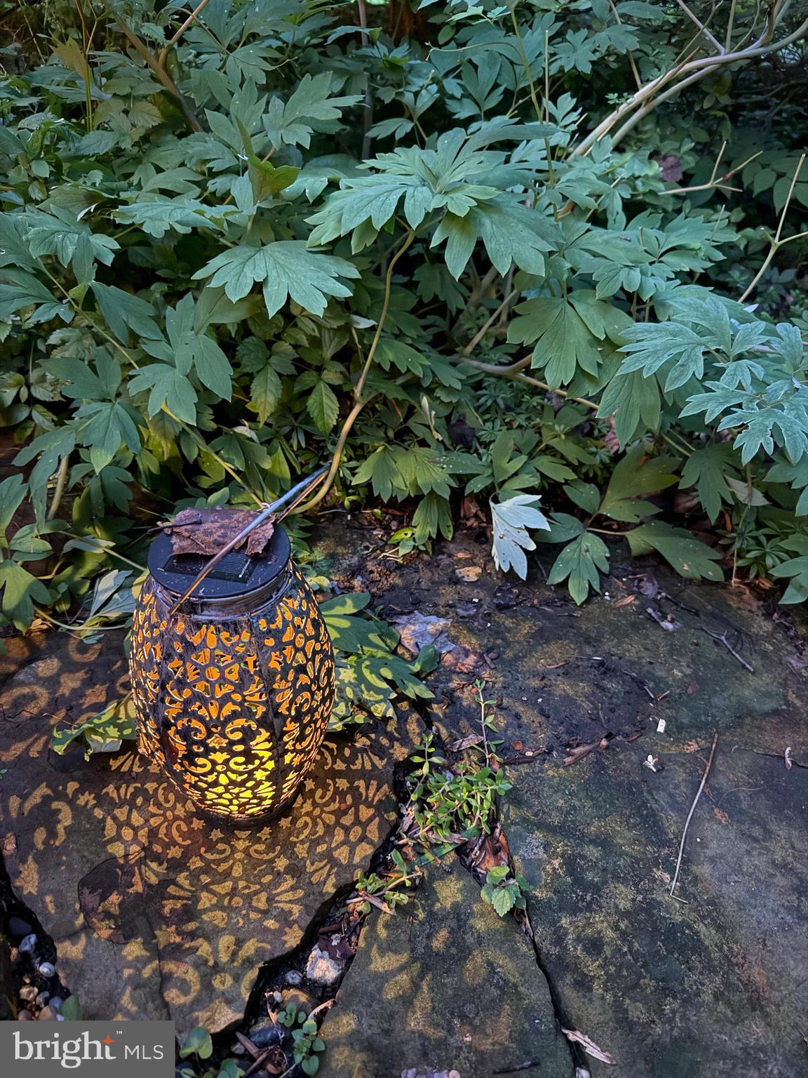 CARDEROCK SPRINGS - Residential