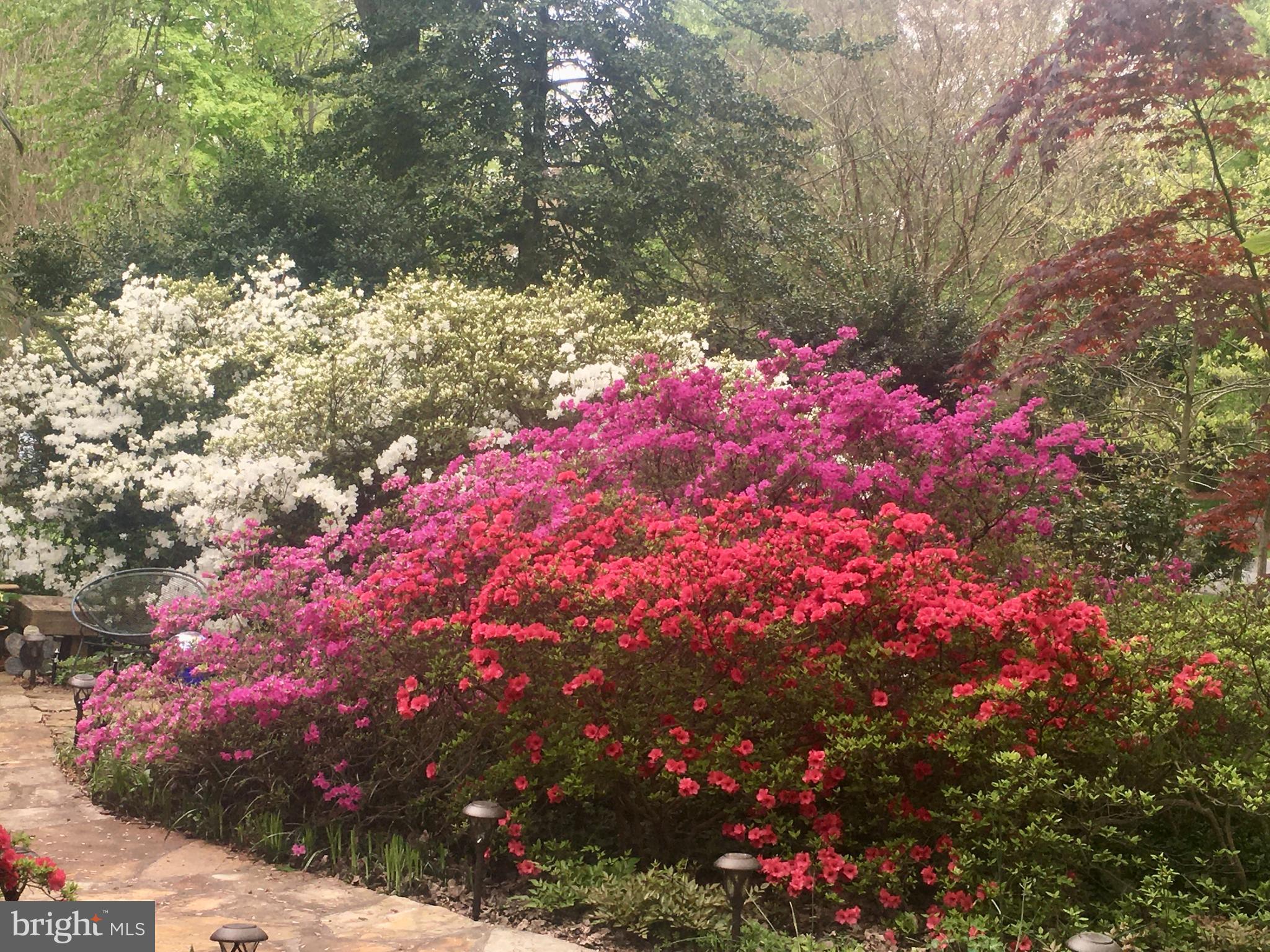 CARDEROCK SPRINGS - Residential