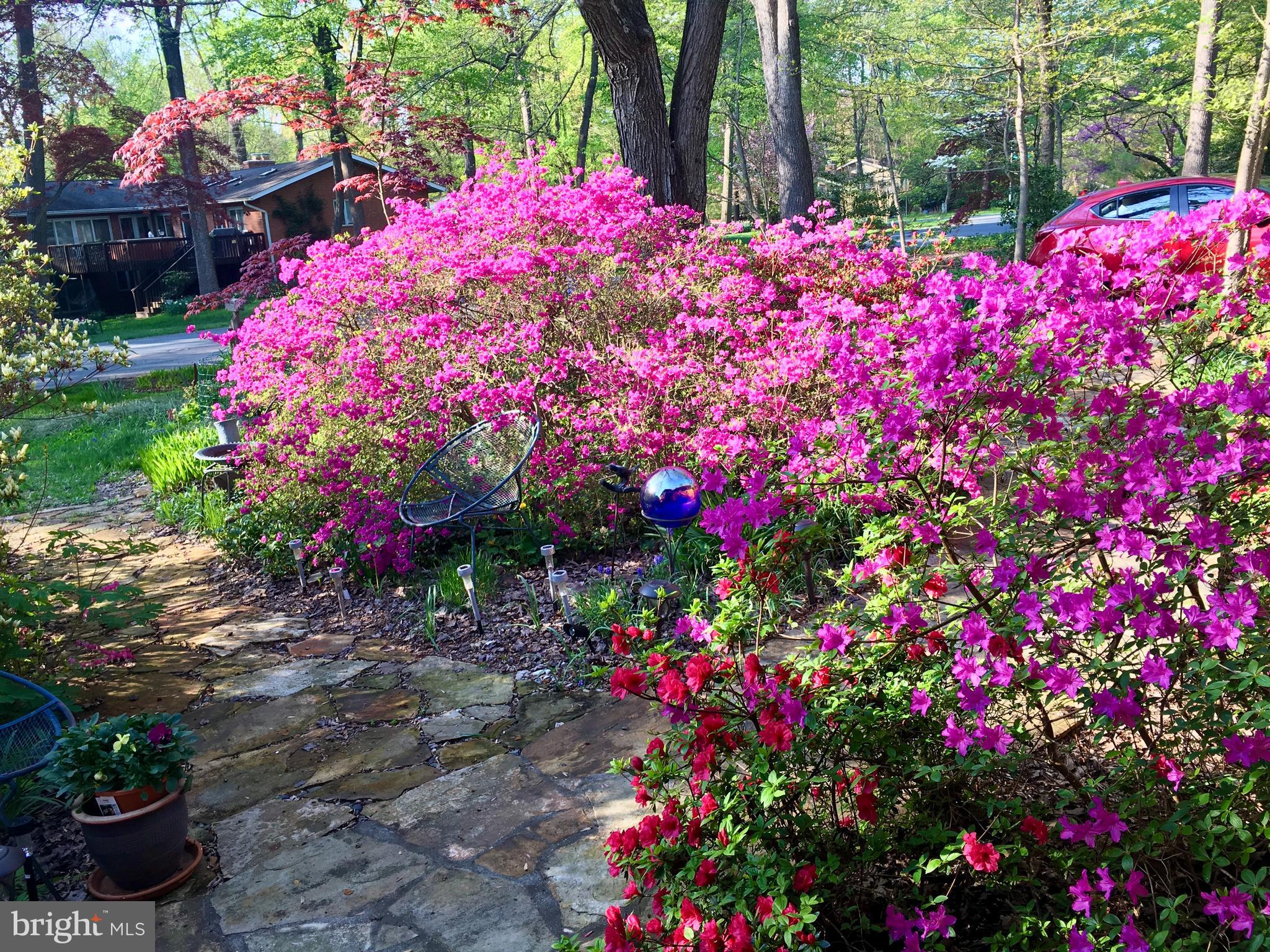 CARDEROCK SPRINGS - Residential