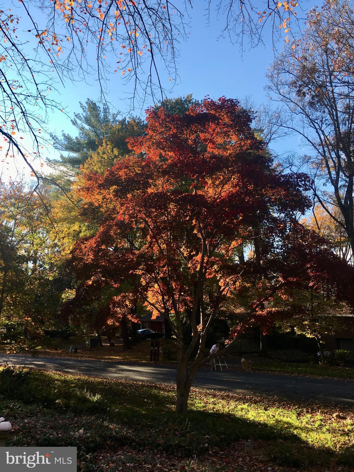 CARDEROCK SPRINGS - Residential