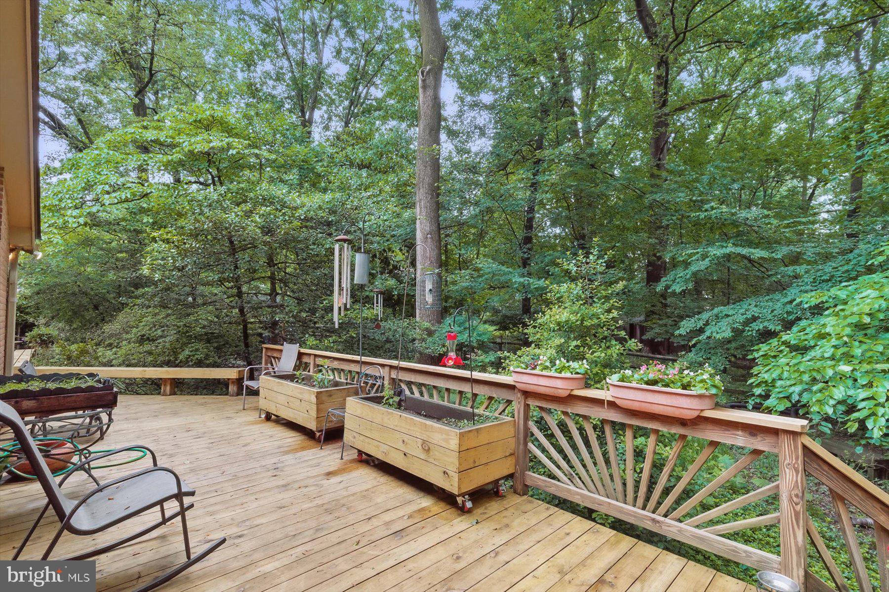 CARDEROCK SPRINGS - Residential