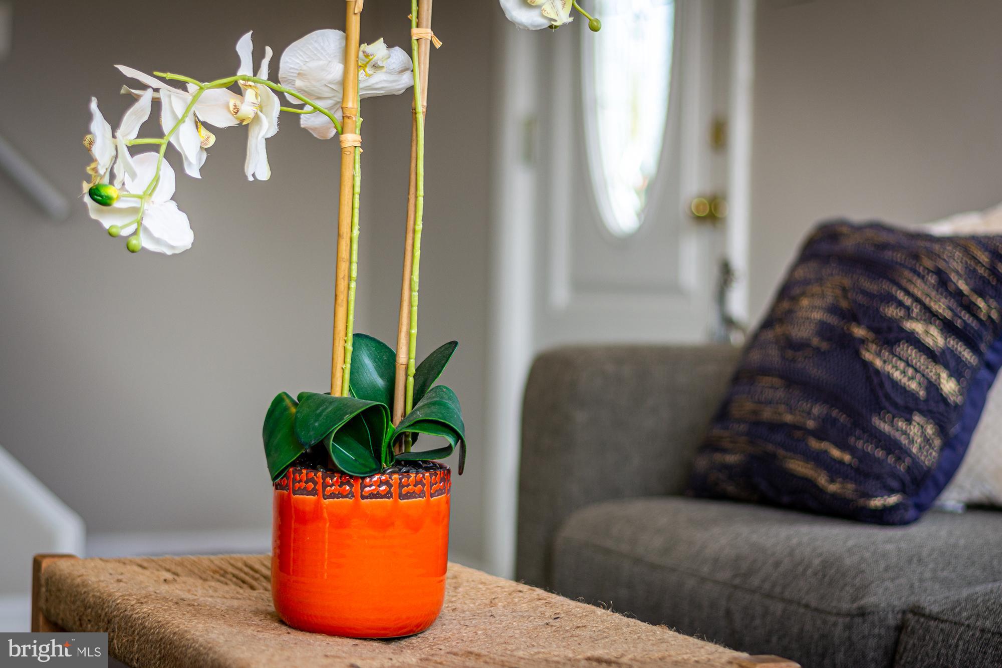 MURRAY POINT - Residential