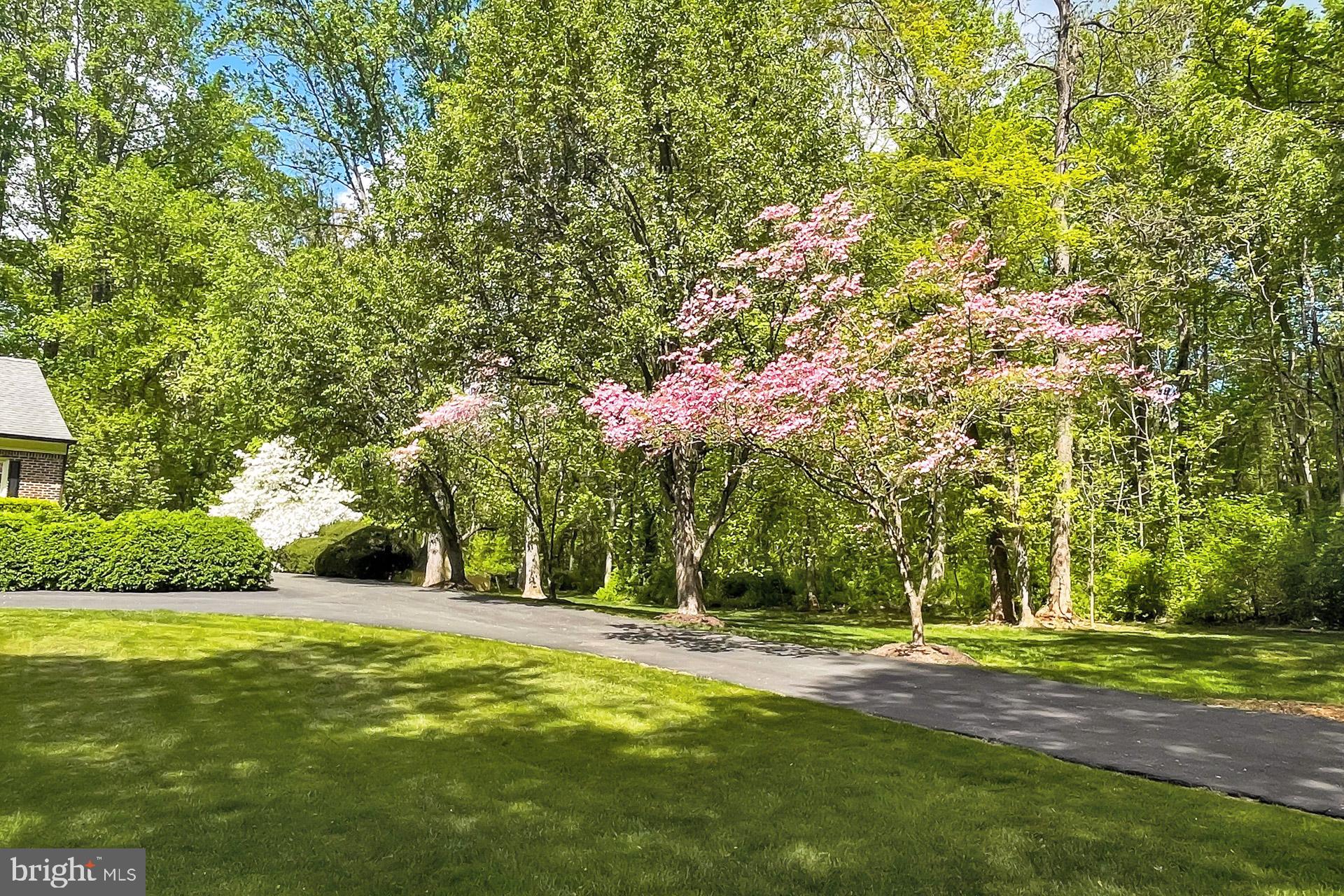 DEVEREUX STATION - Residential