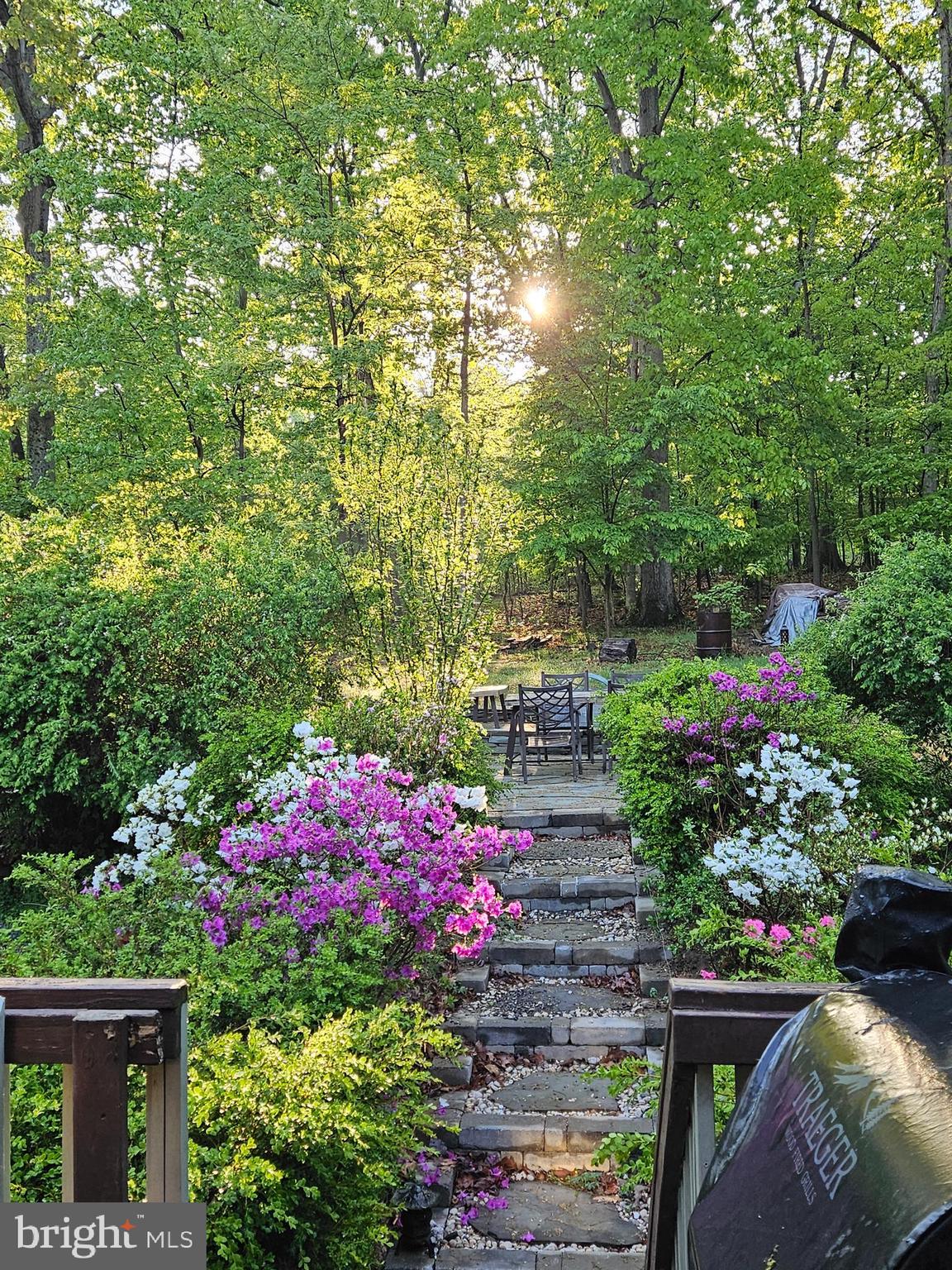 SHANNONDALE - Residential