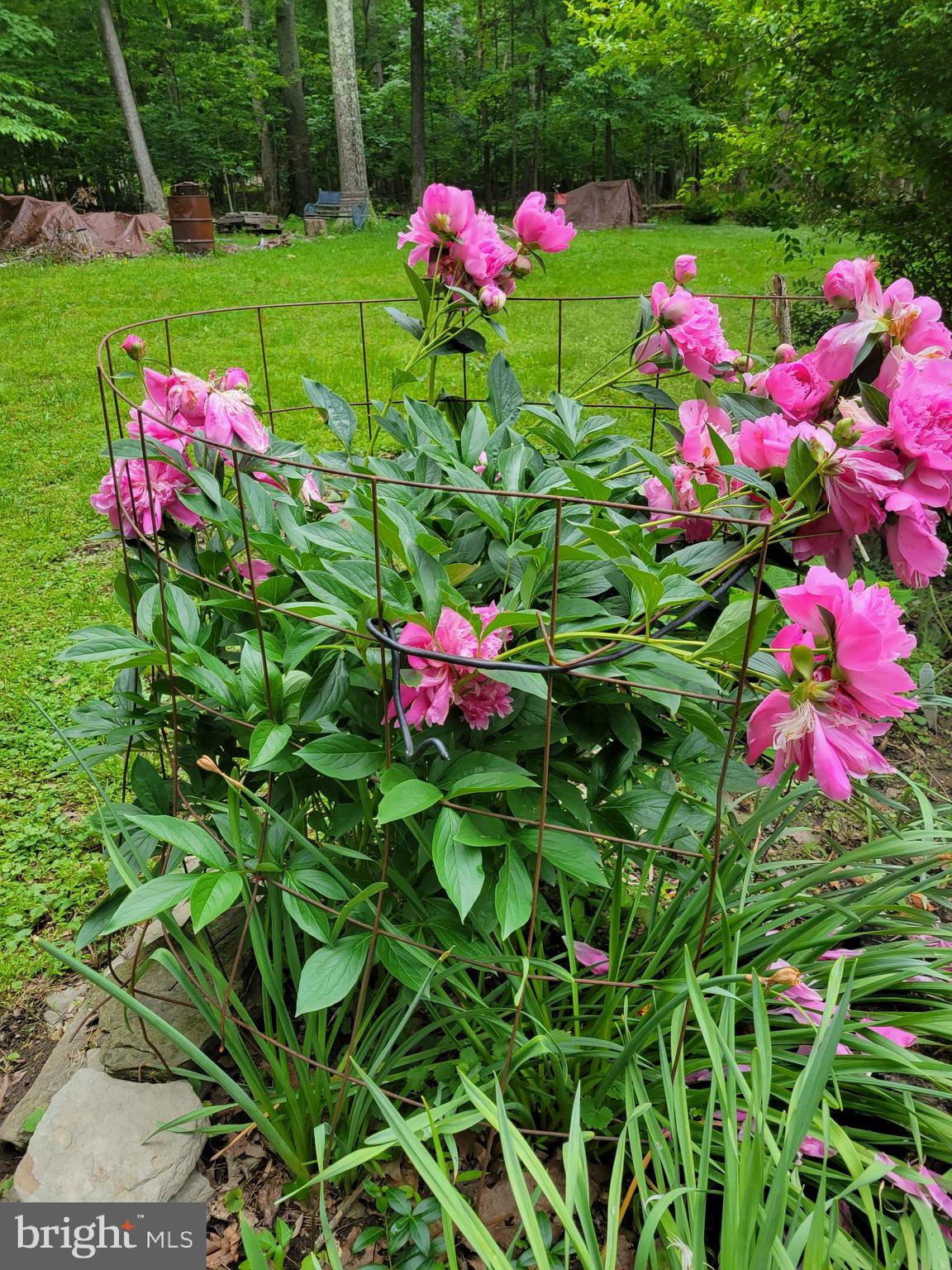 SHANNONDALE - Residential