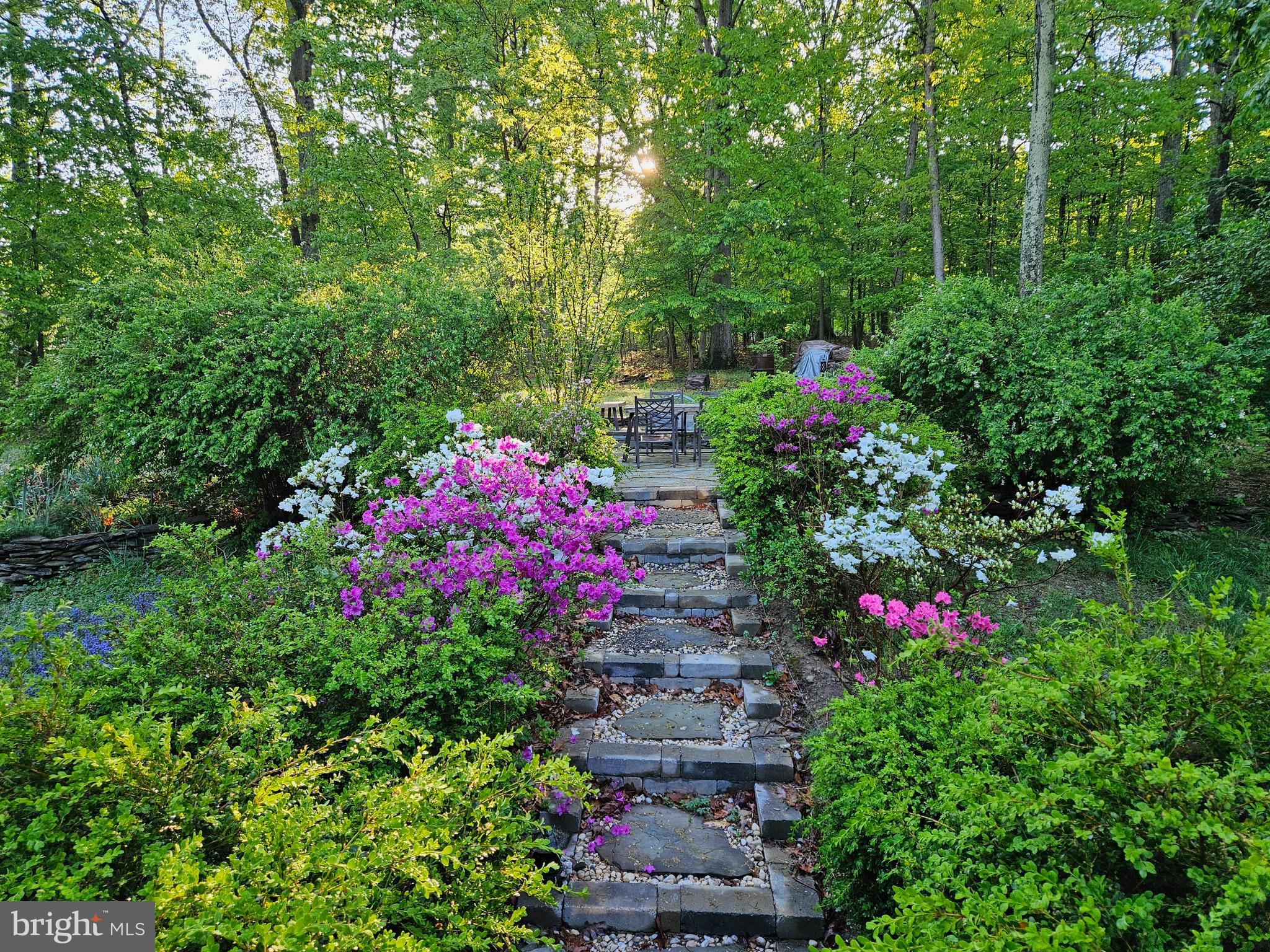 SHANNONDALE - Residential