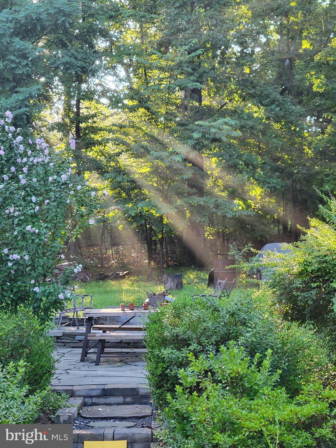 SHANNONDALE - Residential