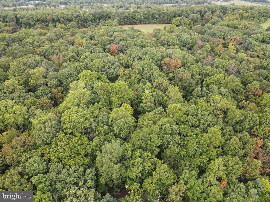 Beautiful 15+ acre lot awaits your dream property!! The next door property with existing home will also be available to purchase.