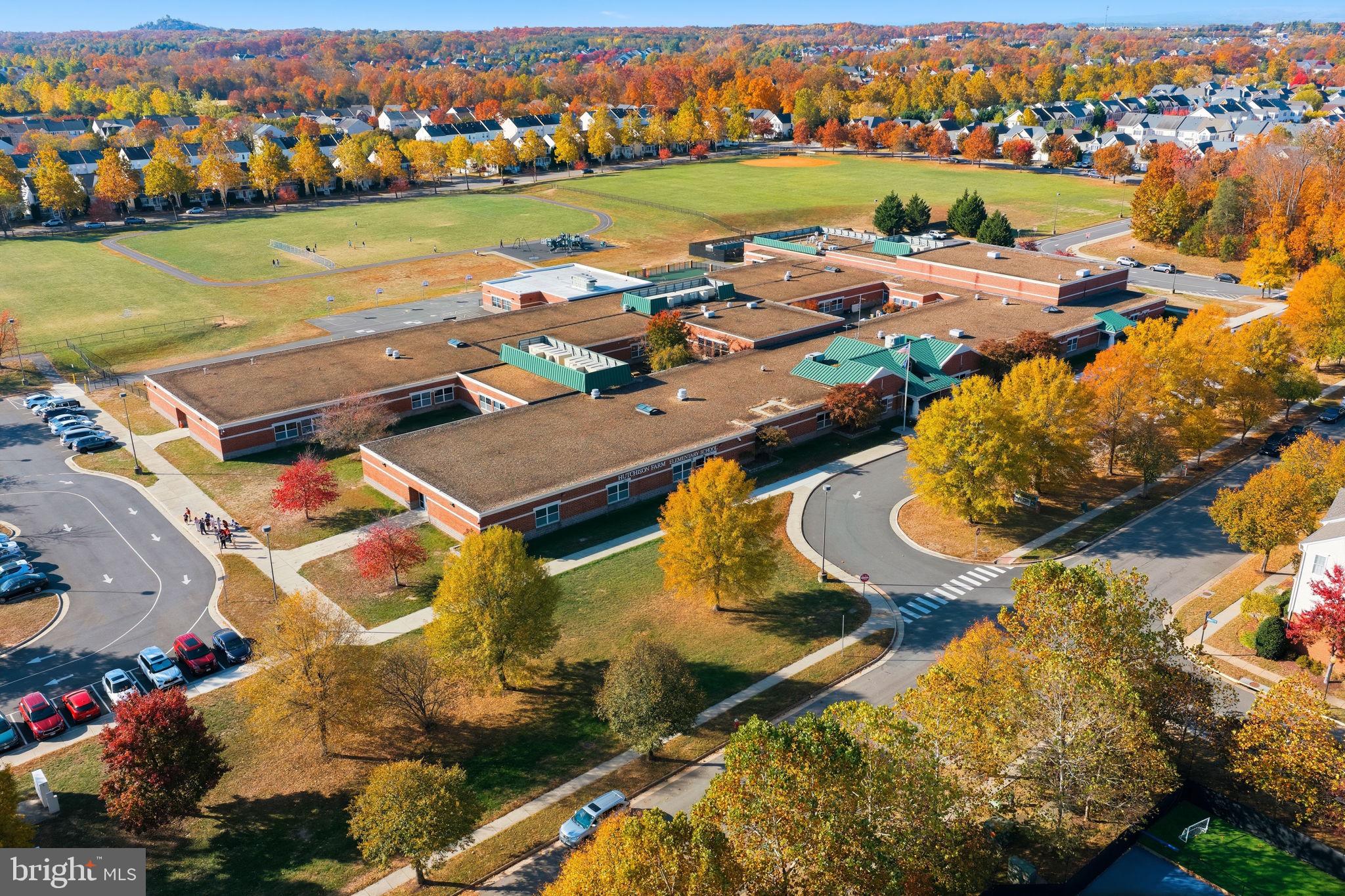 AMBERLEA AT SOUTH RIDING - Residential