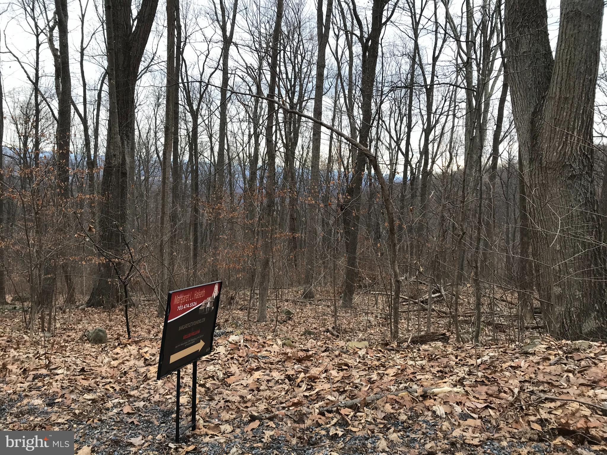 BLUE MOUNTAIN ESTATES - Land