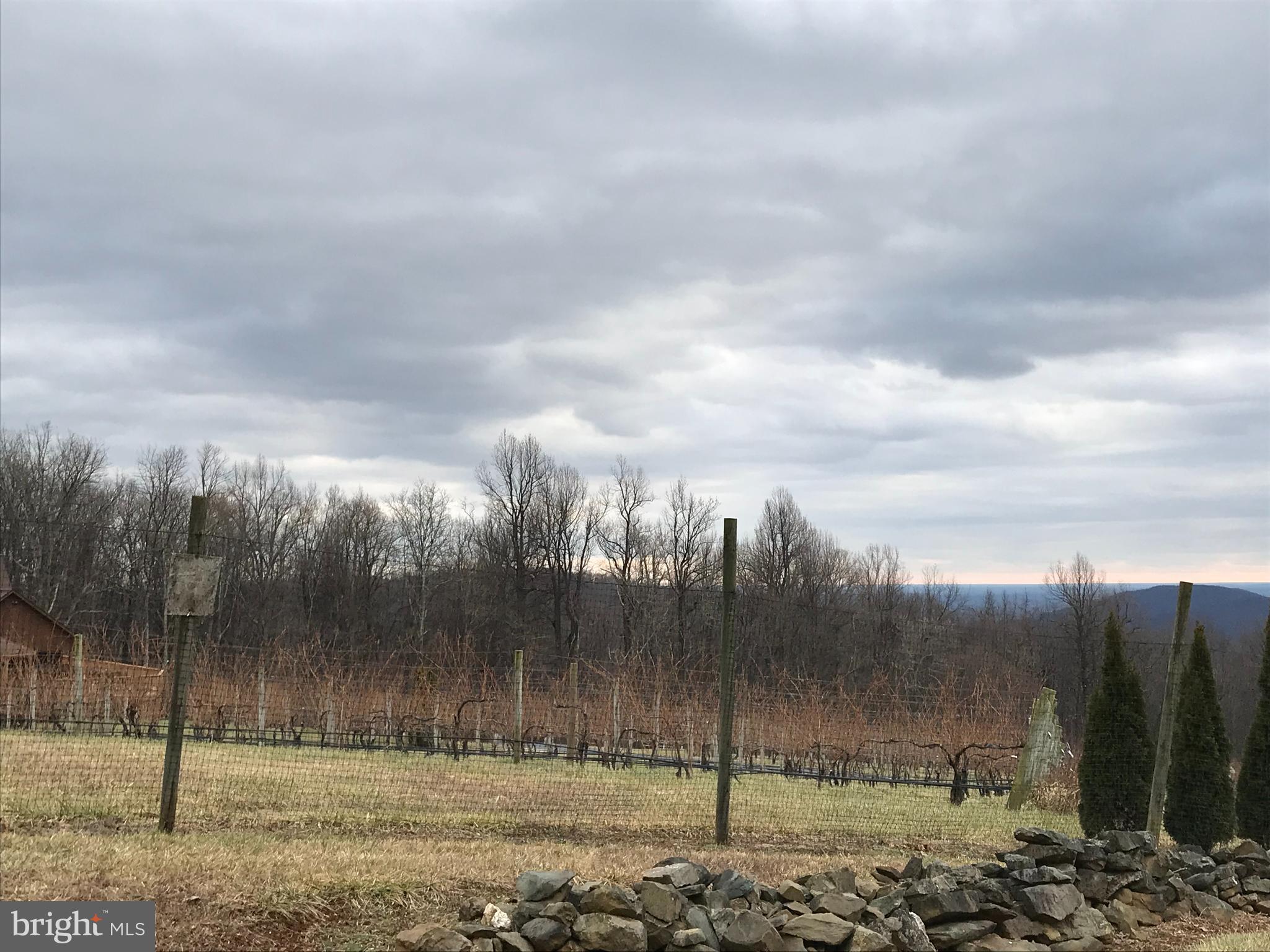 BLUE MOUNTAIN ESTATES - Land