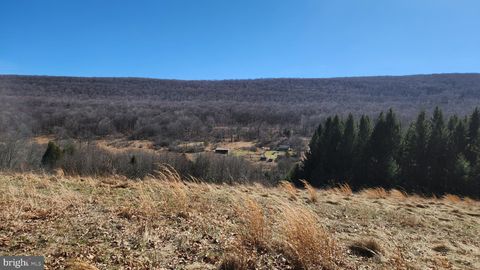 Vacant Land For Sale - 584 Old Wilson Road<br/> SWANTON, MD 21561