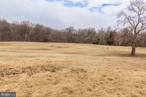 listing image 113