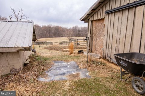 listing image 137