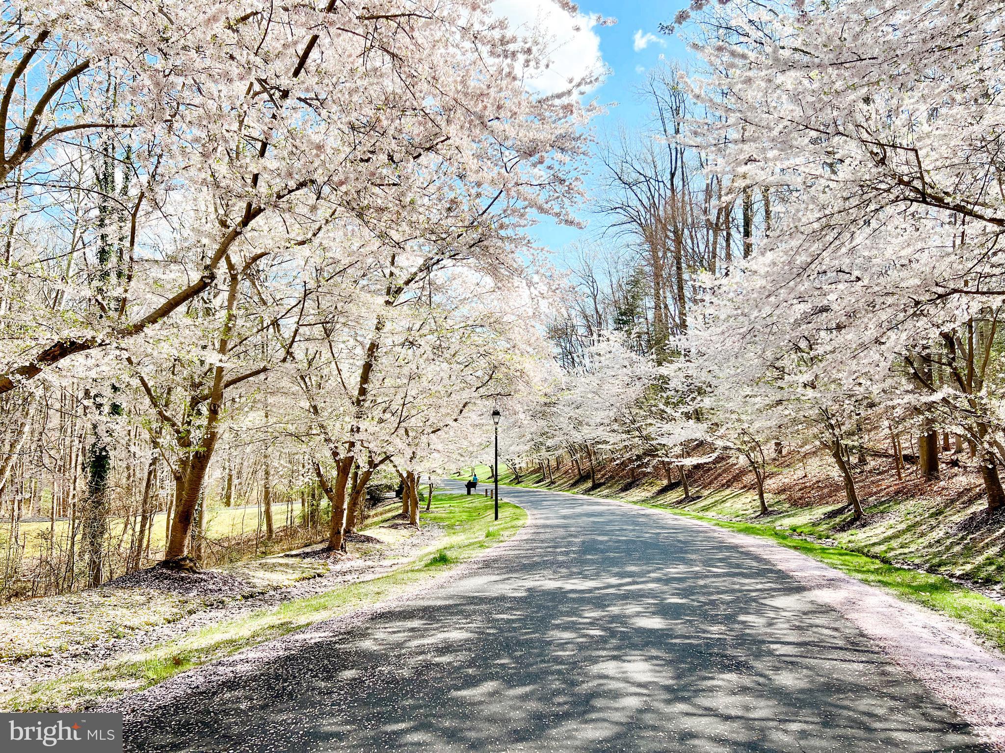 BELVOIR FARMS - Residential