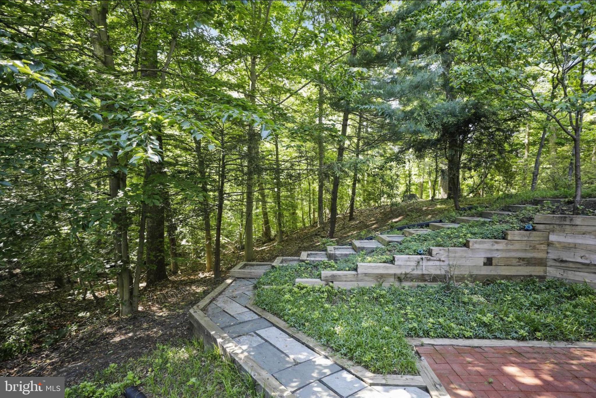 BELVOIR FARMS - Residential