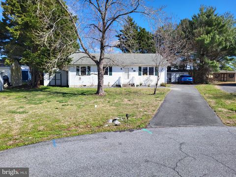 101 OAK STREET SECRETARY MD 21664