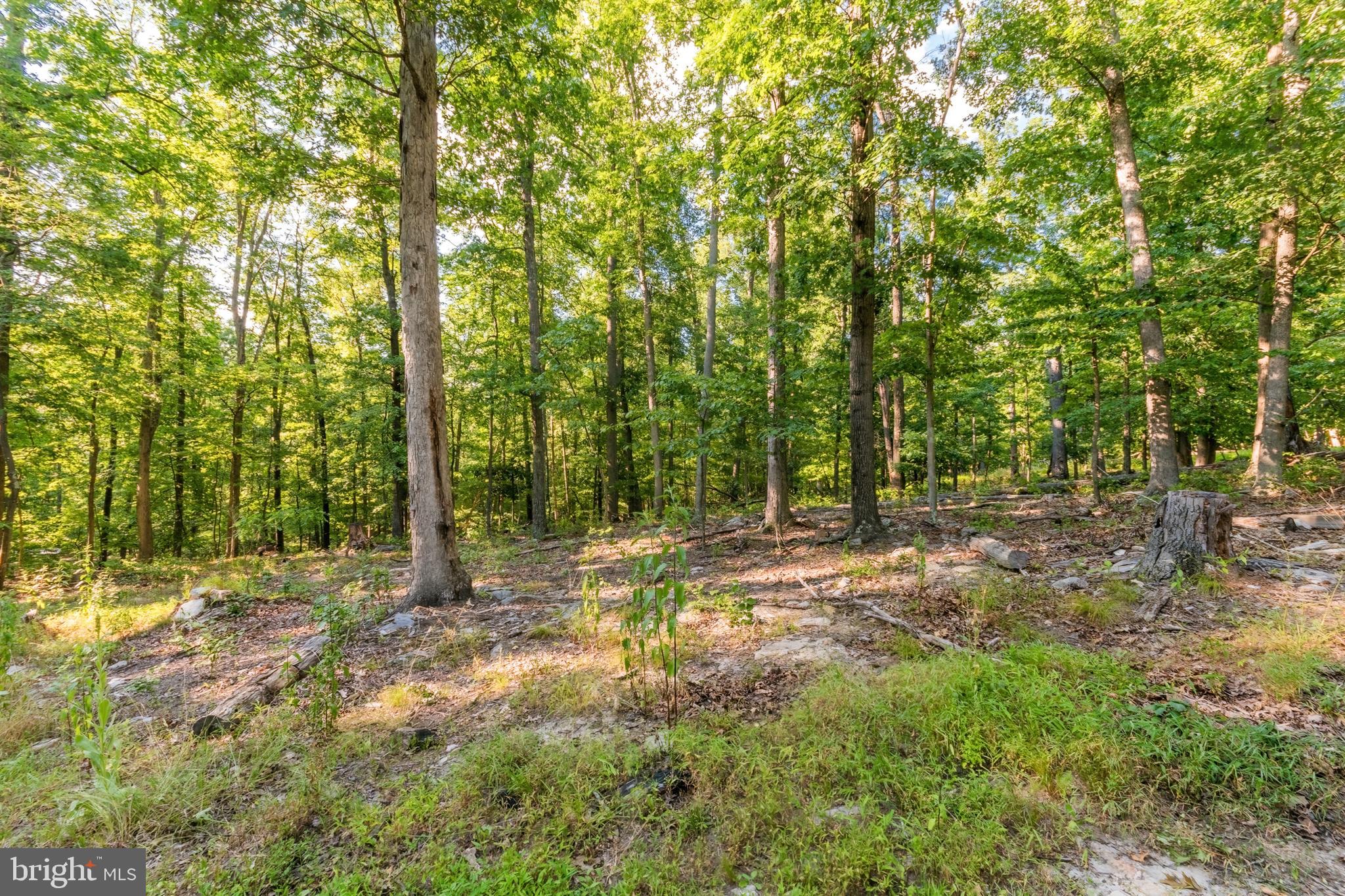 CACAPON RIVER VISTA - Residential