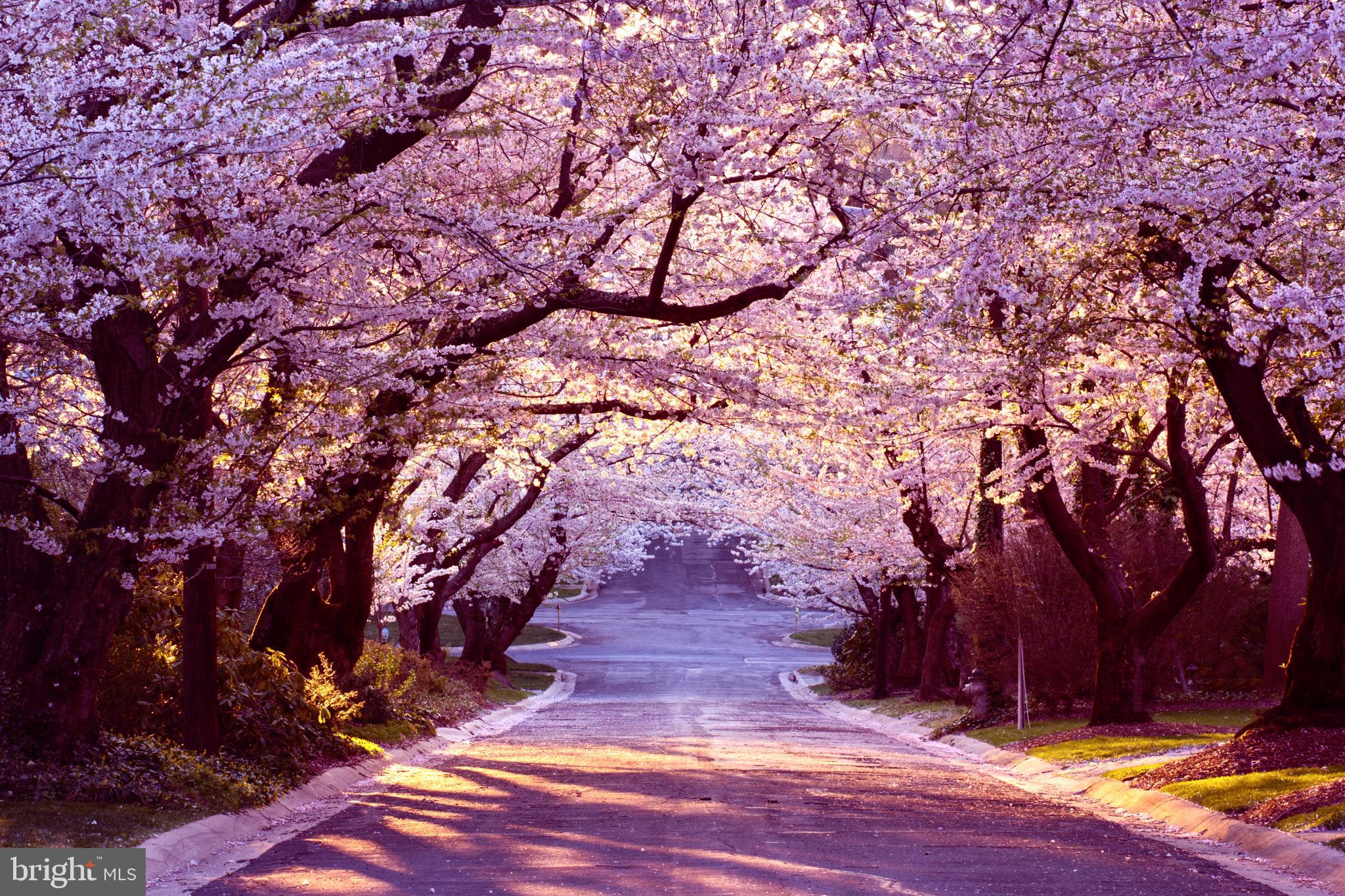 KENWOOD - Residential