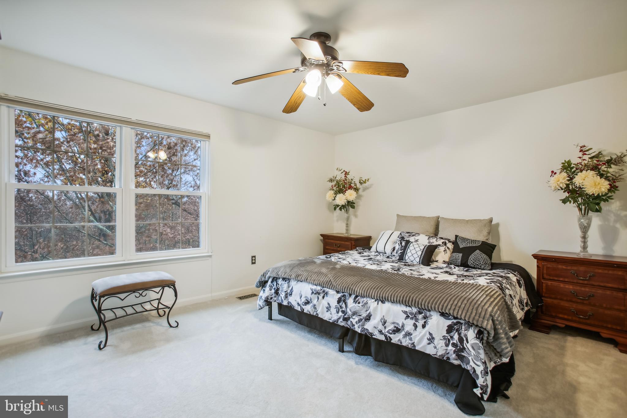 HAYDEN VILLAGE - Residential