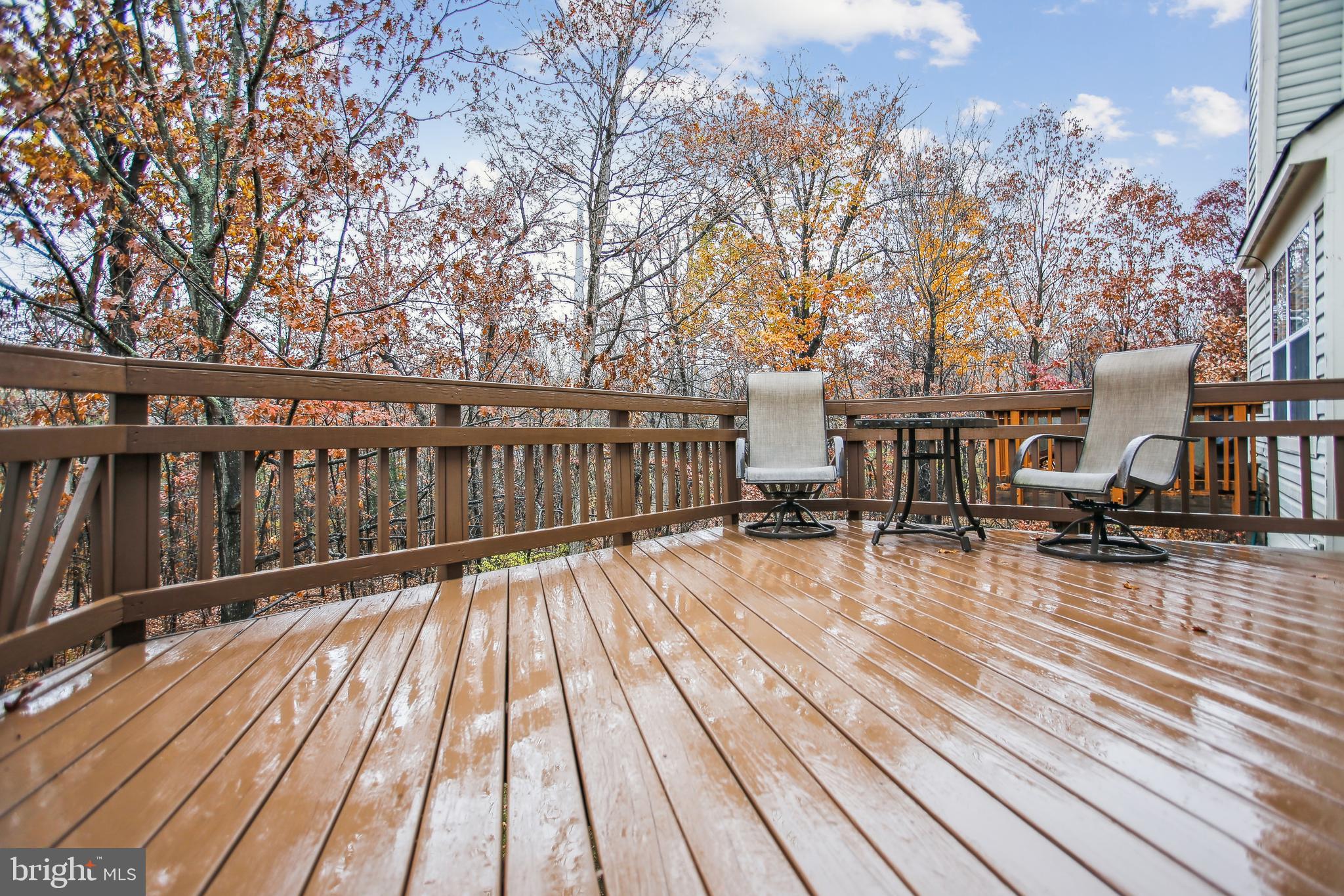 HAYDEN VILLAGE - Residential