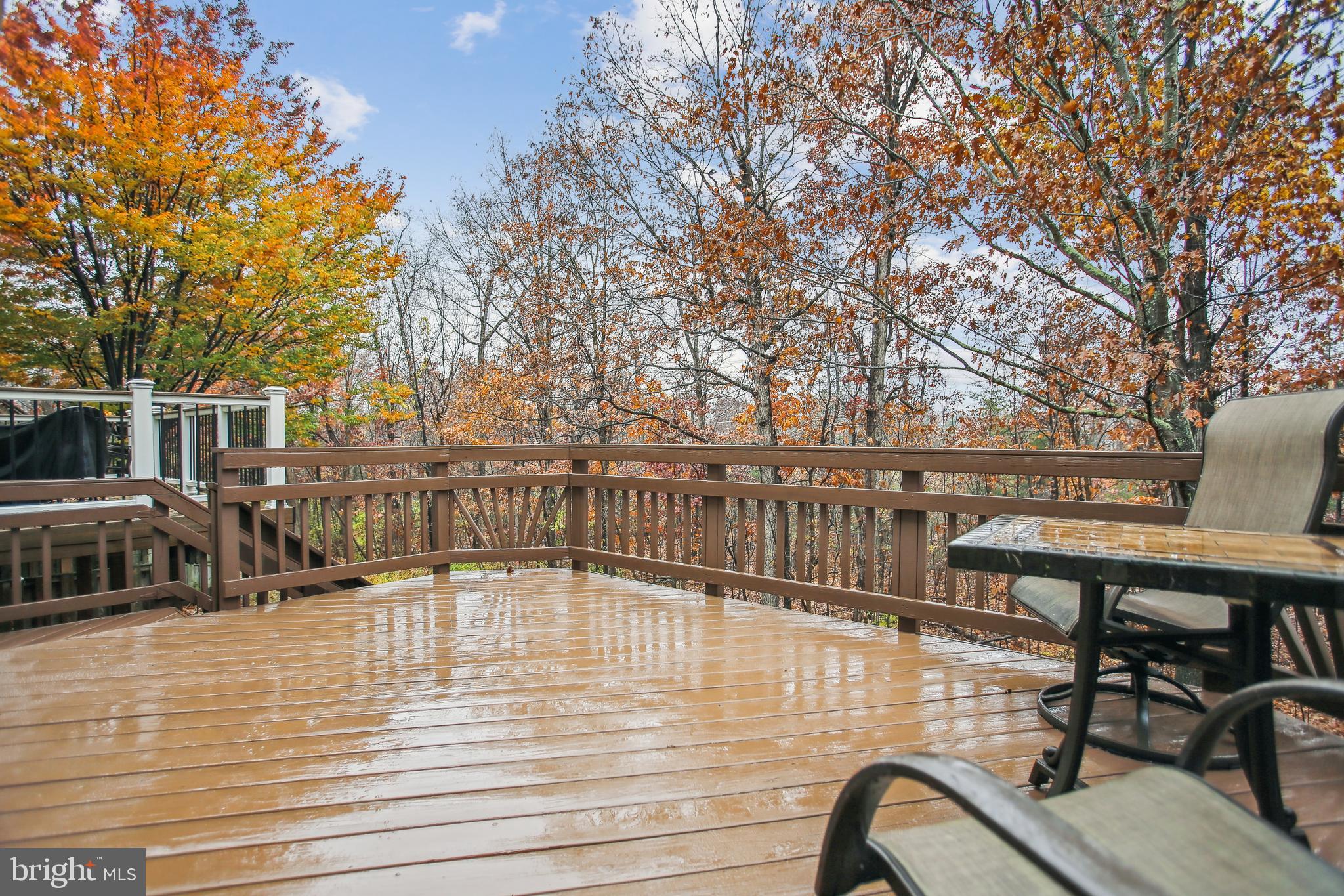 HAYDEN VILLAGE - Residential