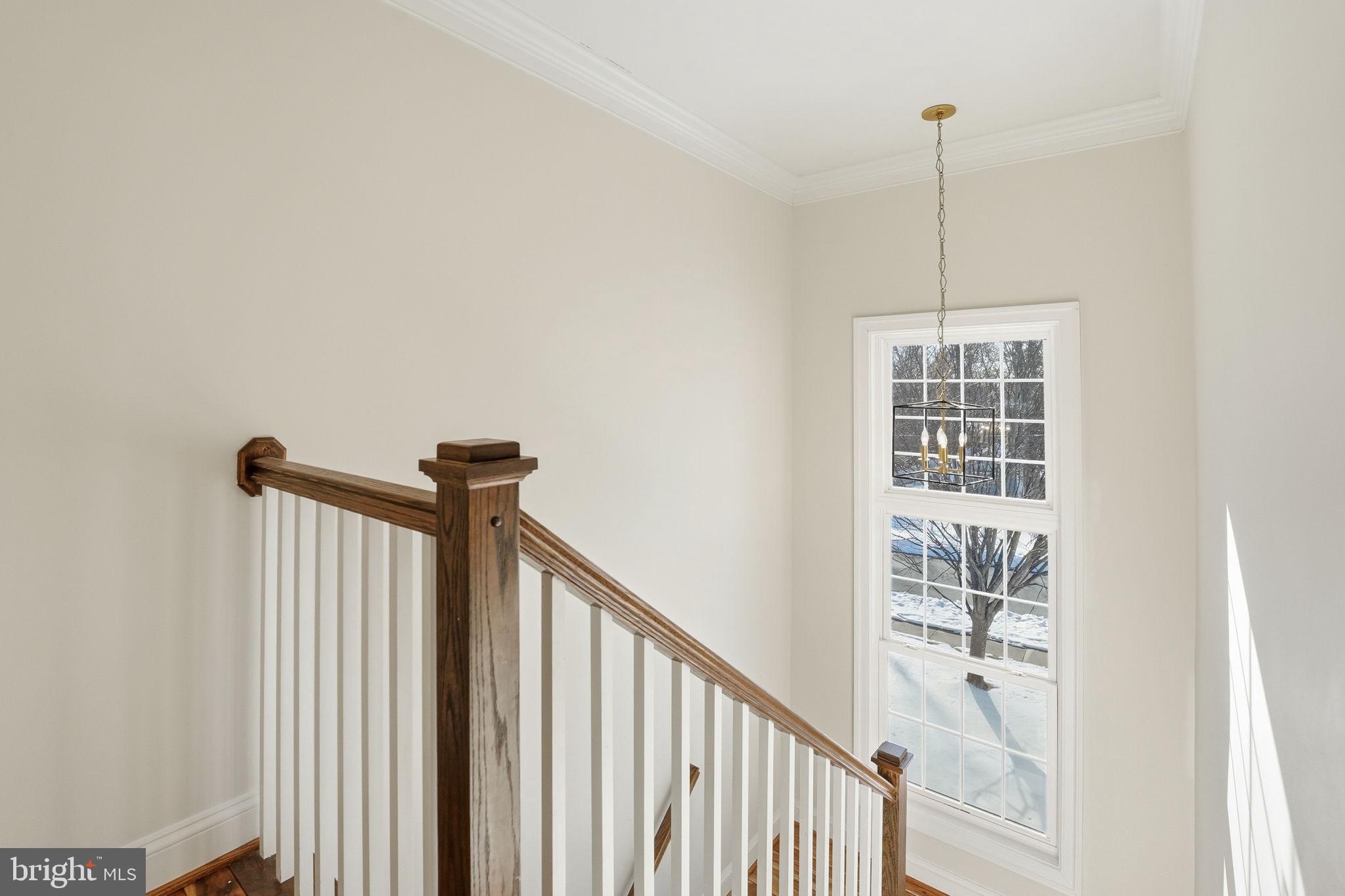 GRAYS OAKTON - Residential