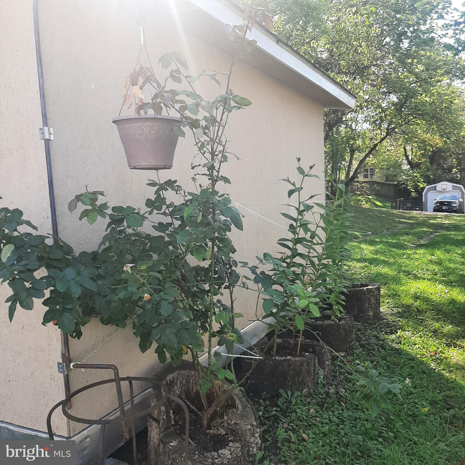 NONE AVAILABLE - Residential Lease