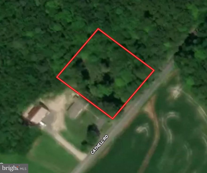 Imagine living in the countryside with sunset views but being less than 10 miles from the beach at Ocean City, MD. This one acre lot located in Berlin, MD backs to big woods to drown out the sound of the highway, yet has beautiful farmland views all around. This lot does not have a perc, but does have favorable and similar soils to neighboring home that was built. Come check out what could be the start of your shore life. Buyer to do all due diligence regarding perc and building.