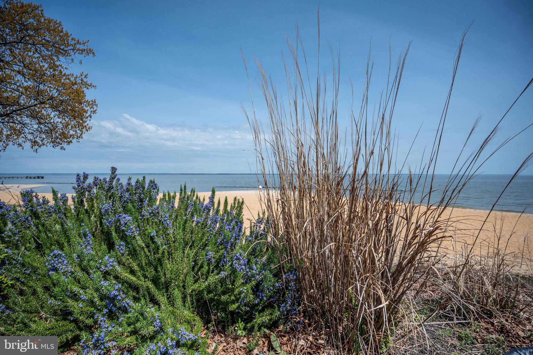 COLONIAL BEACH - Residential