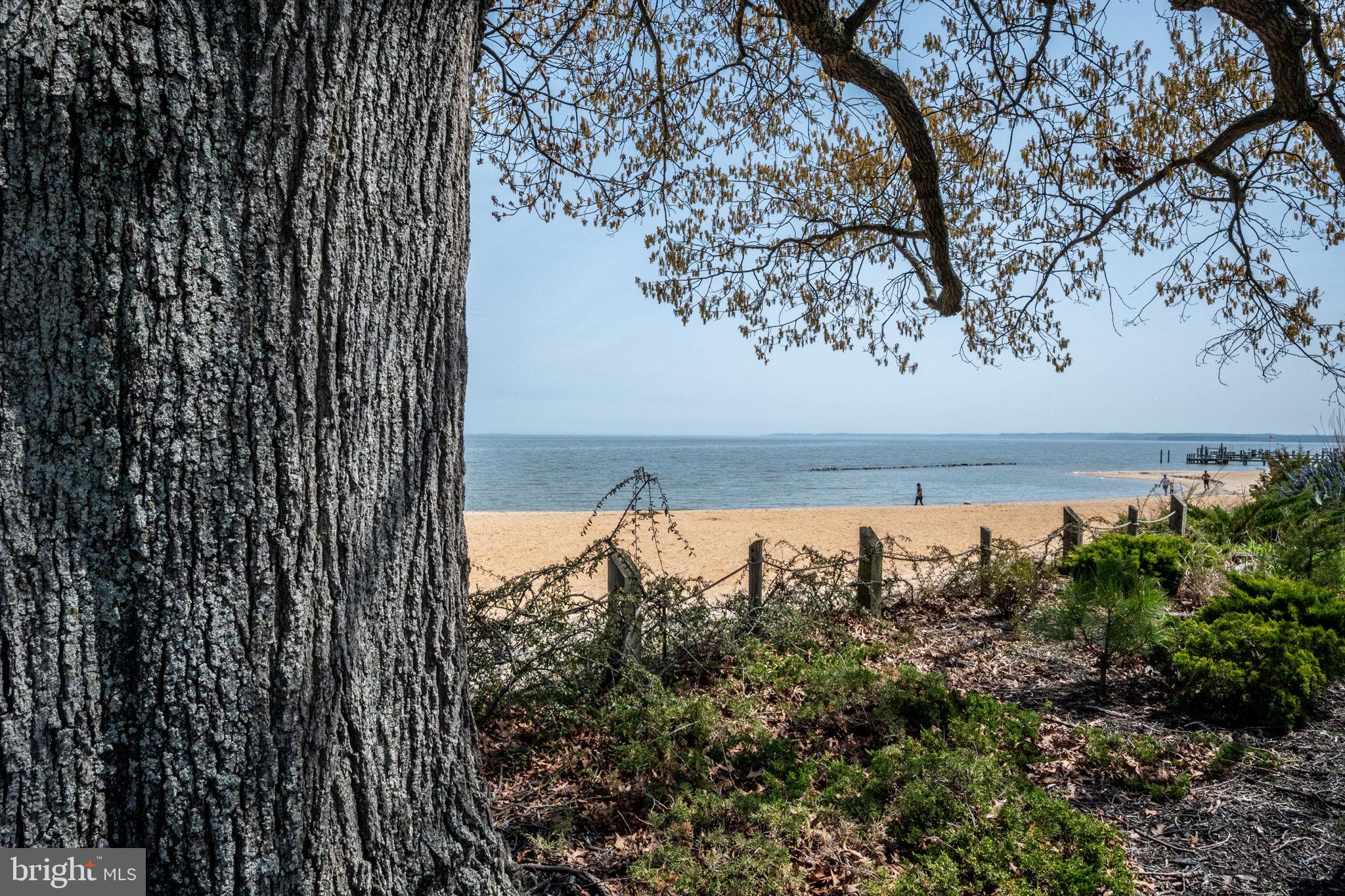 COLONIAL BEACH - Residential