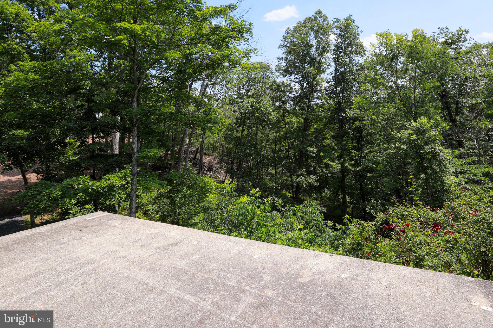 CACAPON HILLS - Residential