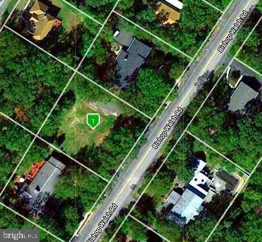 Location.  Flat. Mature oaks  public water and sewer. Just add your mansion!