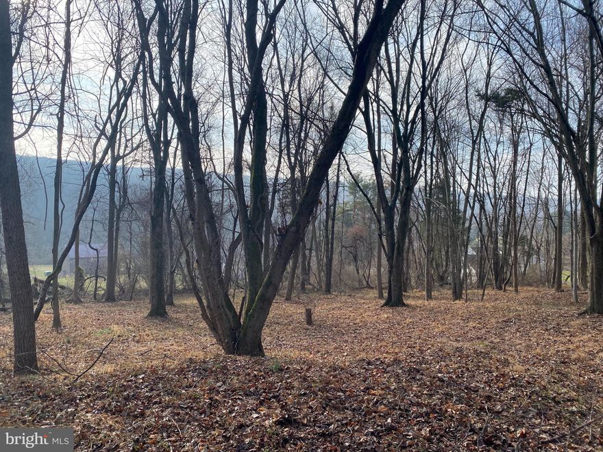 2.5 acre vacant lot with access to Saint Peters Rd. This gently sloping hillside consists of a beautiful wooded lot and pond views. A peaceful setting to build a dream home in the Owen J. Roberts School district. The quiet wooded surroundings provide privacy and the feel of a rural location. However, the lot allows for fast , convenient and easy access to major roadways, shopping and transportation. 

Perk test completed March 2020, passing report will be provided upon request.

For showing purposes, please park on Brett's way just past the lot.