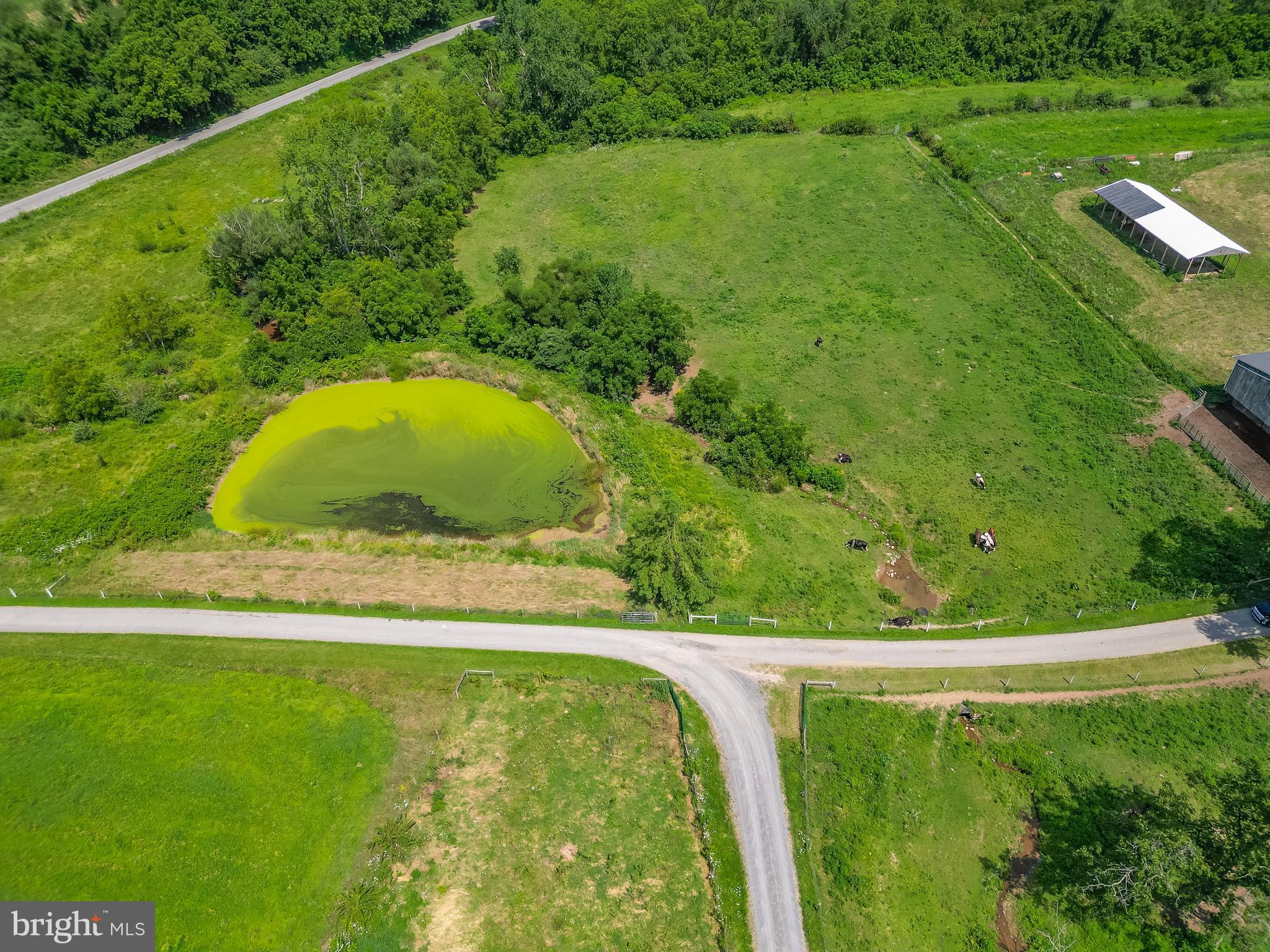 00 POND LANE