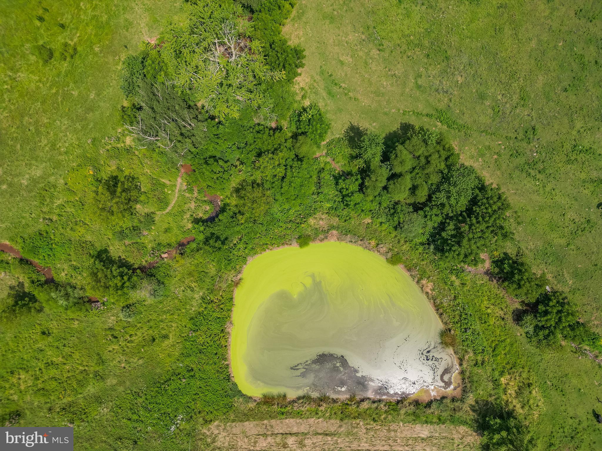 00 POND LANE