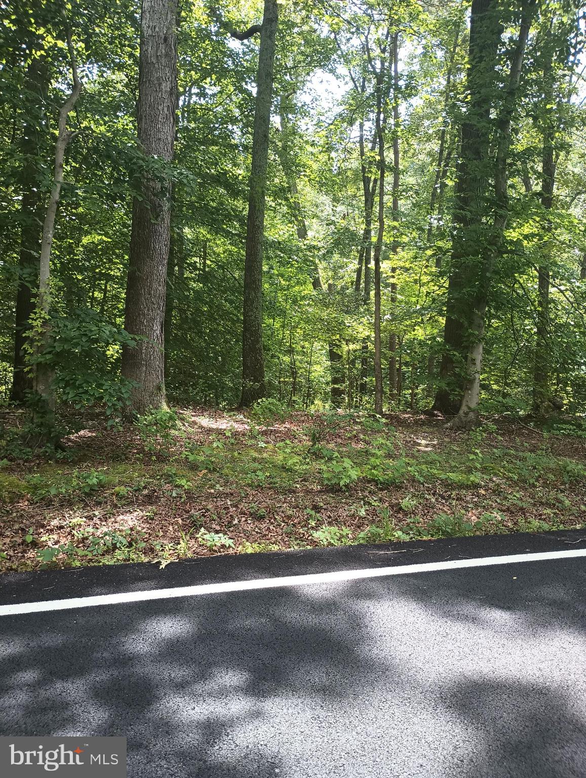 Nice 2.45 acre lot-(nearly 2.50 acres). Partially wooded. Updated perc test with the County Health Dept., as well as an updated Land Survey needed.
This beautiful lot is situated next door to a large spacious, very modern home which was built on a 5-acre lot. There are other traditional homes on the opposite side of the street. Farther down the street are several very nice newly built homes. This is a very quiet community. Also, the location is a very easy commute to all of the Metro area.