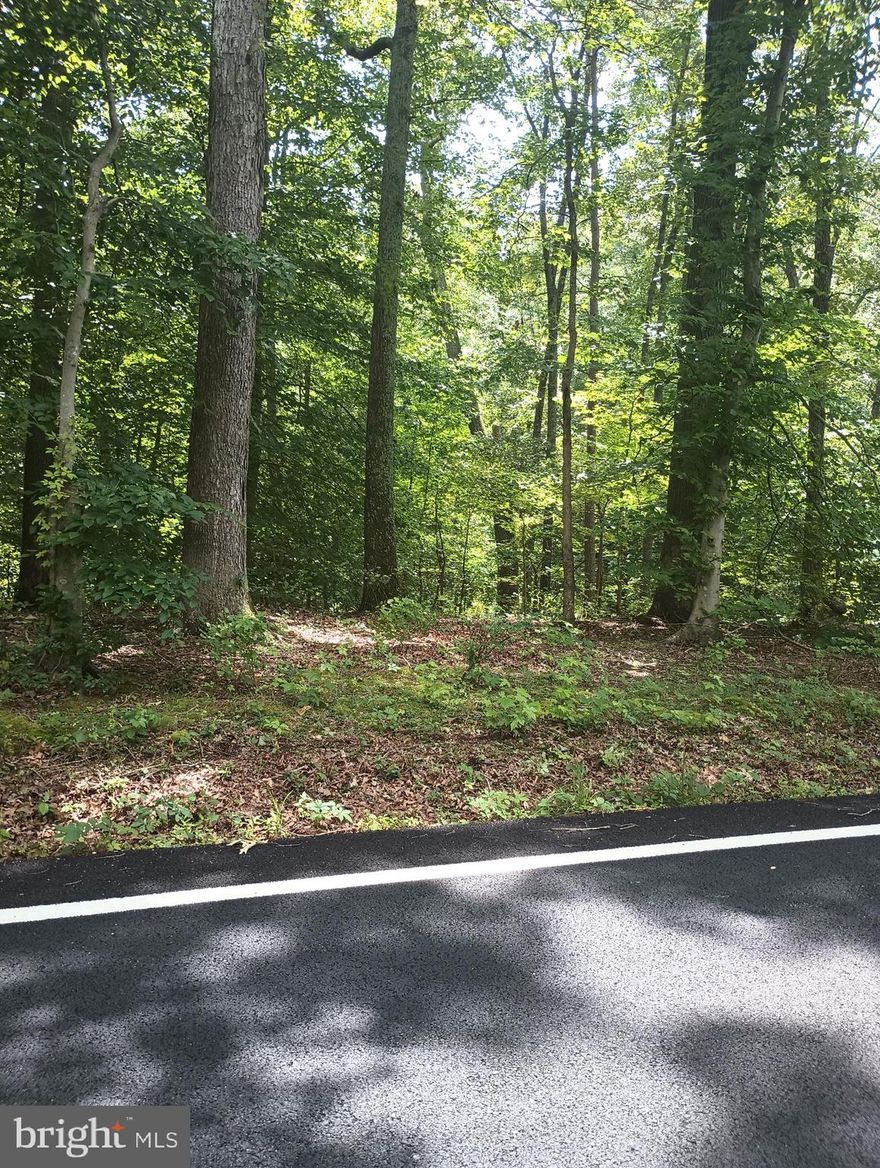 Nice 2.45 acre lot-(nearly 2.50 acres).  Partially wooded.  Updated perc test with the County Health Dept., as well as an updated Land Survey needed.

This beautiful lot is situated next door to a large spacious, very modern home which was  built on a 5-acre lot.  There are other traditional homes on the opposite side of the street.  Farther down the street are several very nice newly built homes.  This is a very quiet community.  Also, the location is a very easy commute to all of the Metro area.