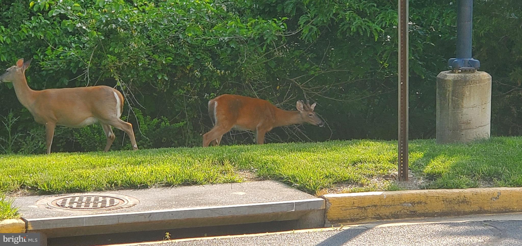 MARKET CENTER CONDOMINIUM - Residential
