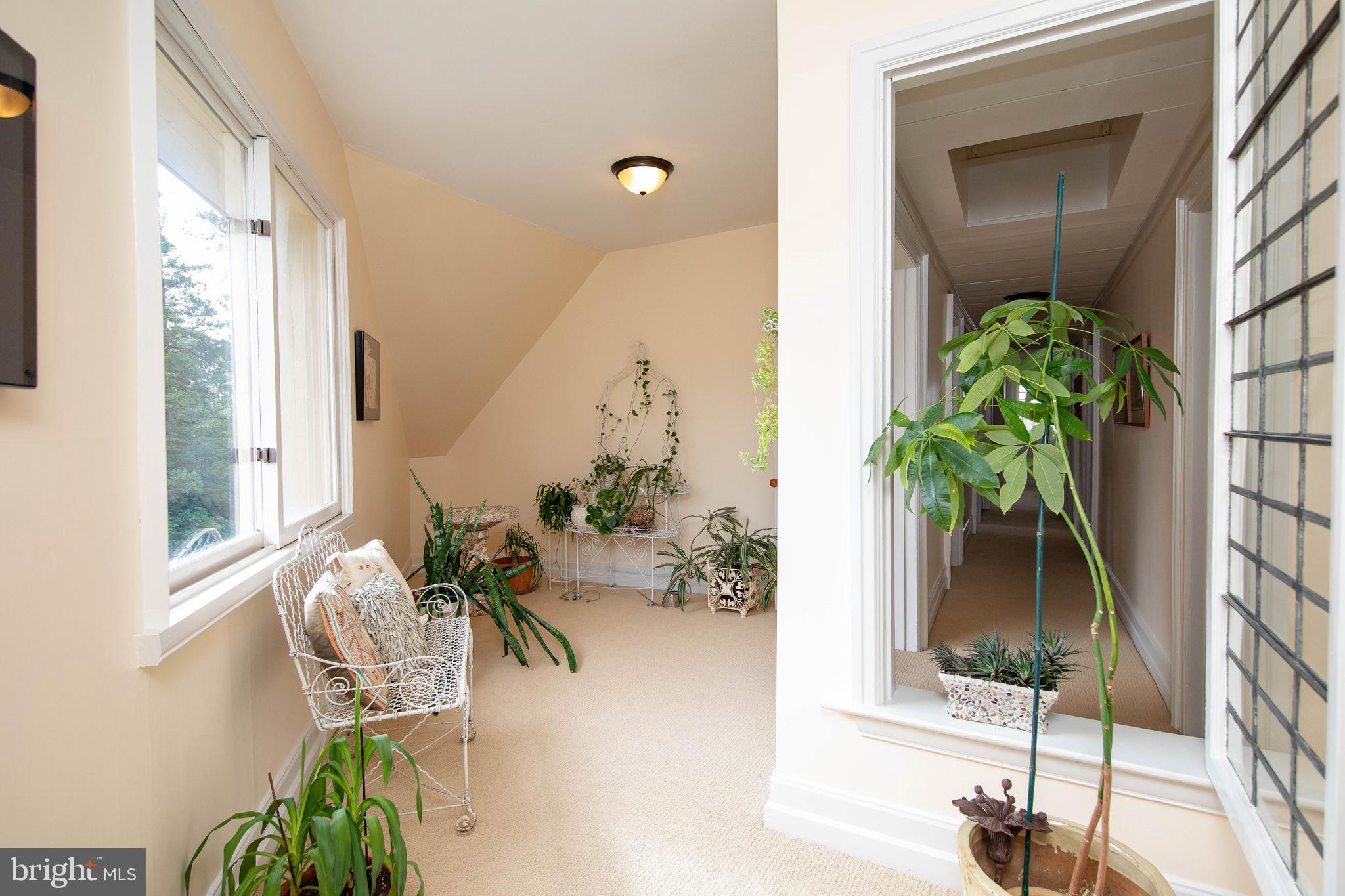 CHESTNUT HILL - Residential