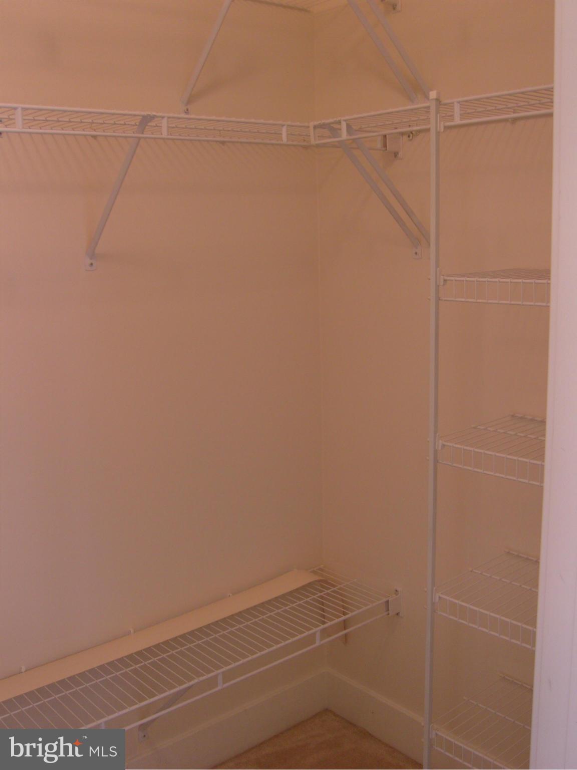 1800 WILSON - Residential Lease