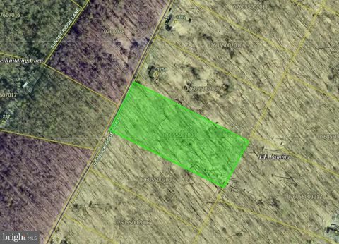 Vacant Land For Sale - LOT 8 Supinlick Ridge<br/> MOUNT JACKSON, VA 22842