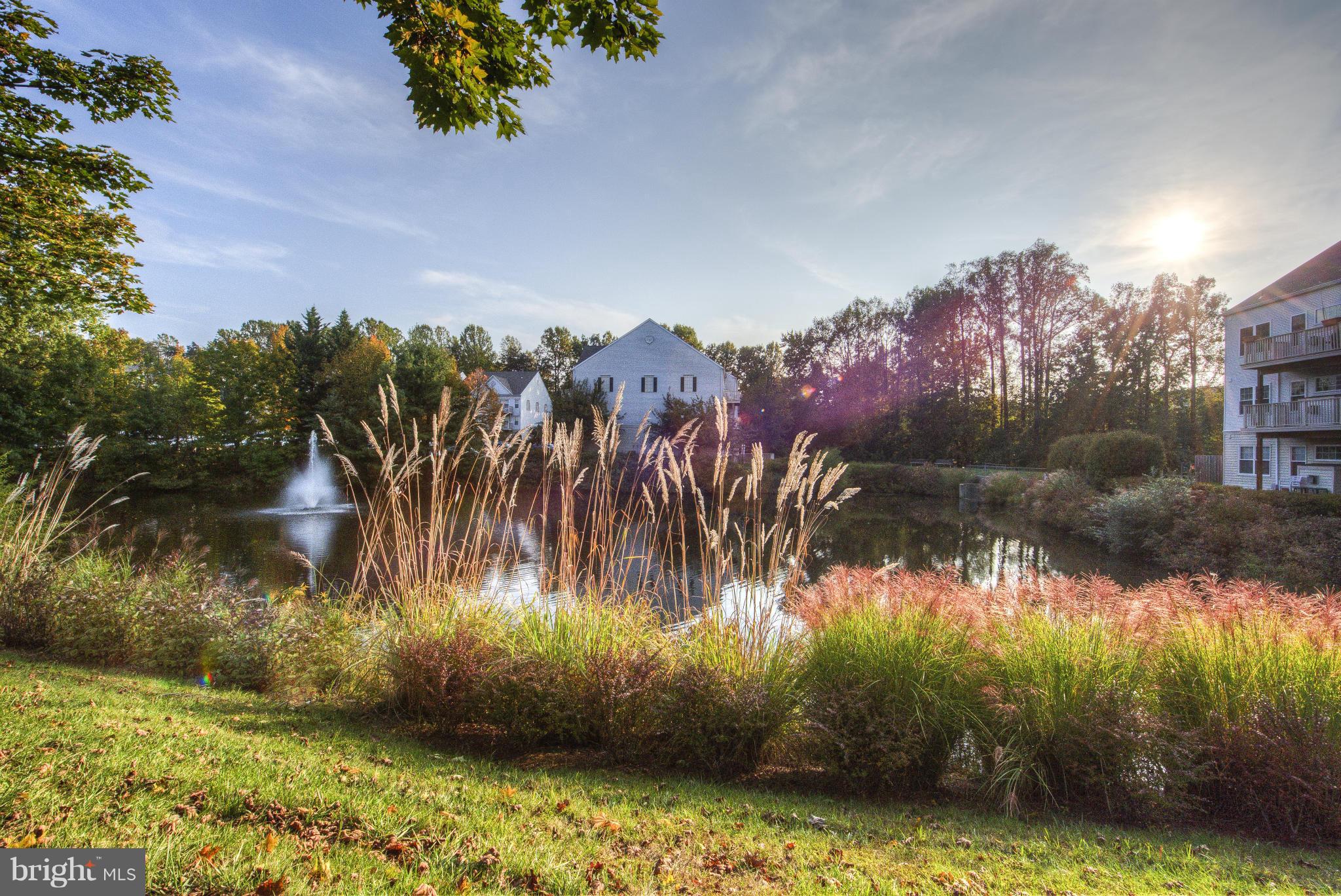 CEDAR LAKES - Residential