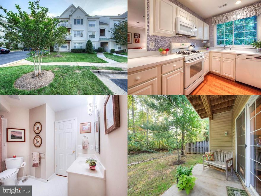 Open concept and sunshine galore! 2BD/2BTH condo with many upgrades. Relax while you look out to a view of the woods. Upgrades include: hardwood floors throughout, brand new fridge and microwave, built-ins, custom/recessed lighting,  9 ft ceilings, California closets, and disability accessible including custom hand rails and adjustable shower.  MUST SEE!