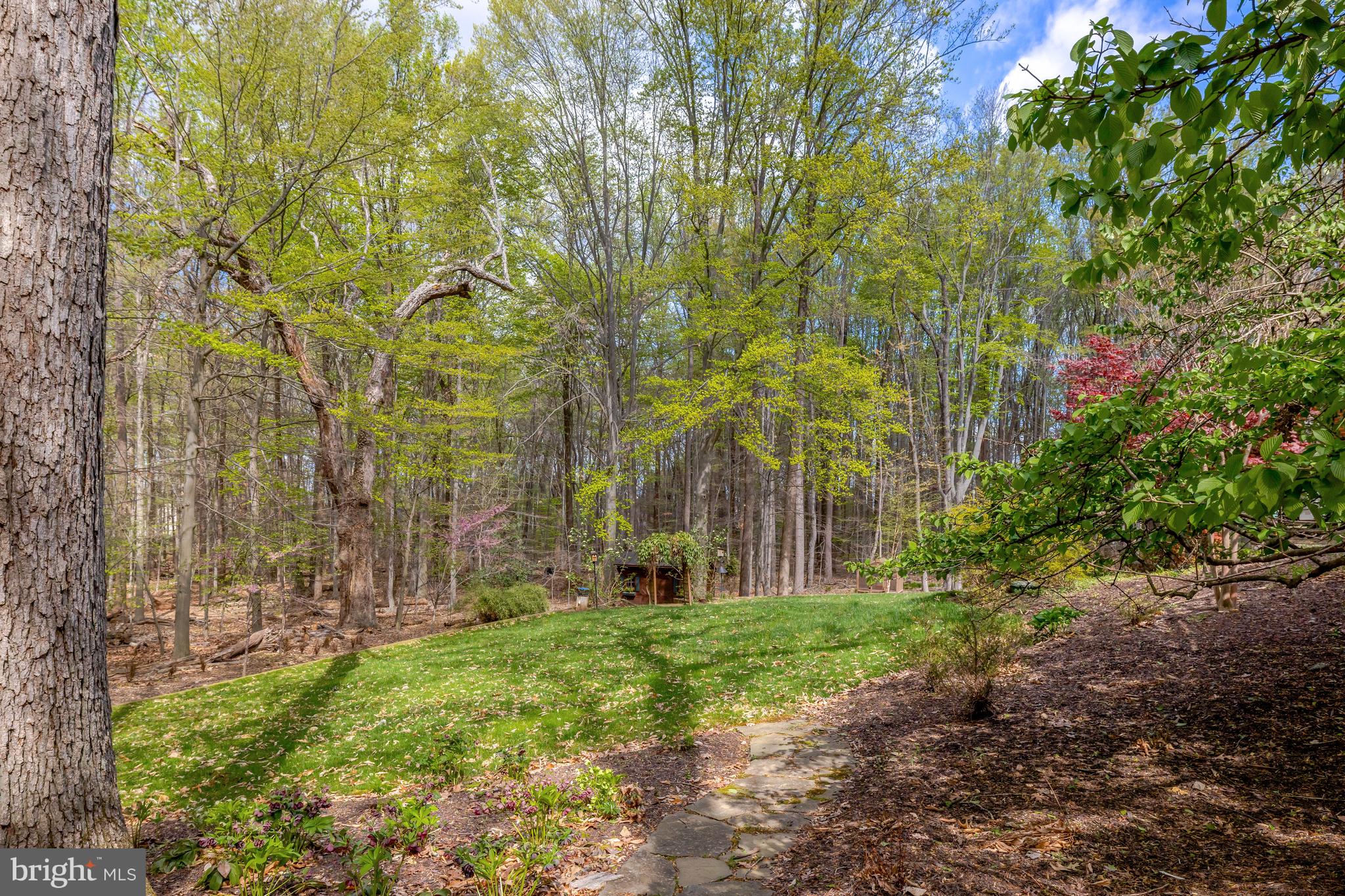 CANTERWOOD - Residential