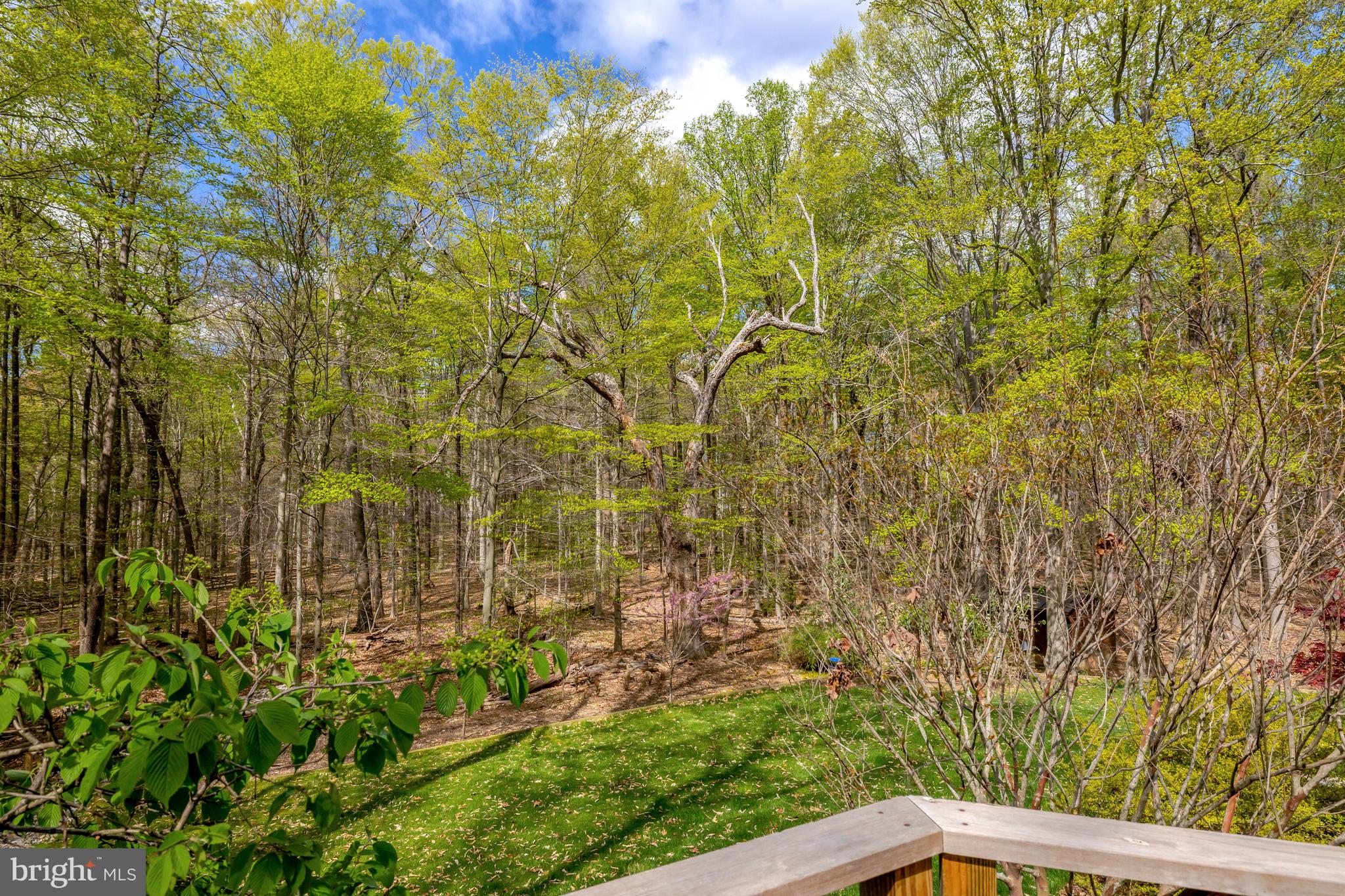 CANTERWOOD - Residential